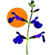 Neuheiten 2025 Neuheiten 2025